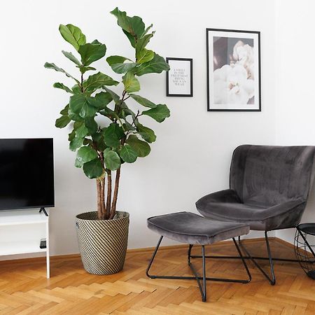 #29 Heaven Messe/Prater Apartment Viena Exterior foto